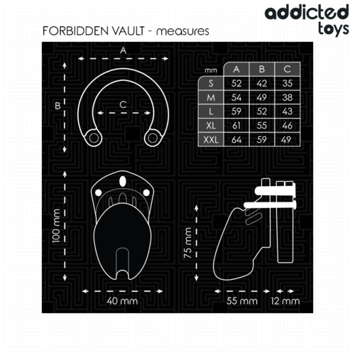 ADDICTED TOYS LOCKED - GAIOLA PARA PÊNIS FORBIDDEN VAULT 10 CM